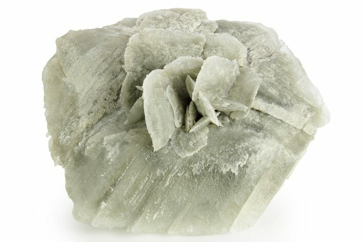 Selenite Crystal - Box Elder County, Utah #369280